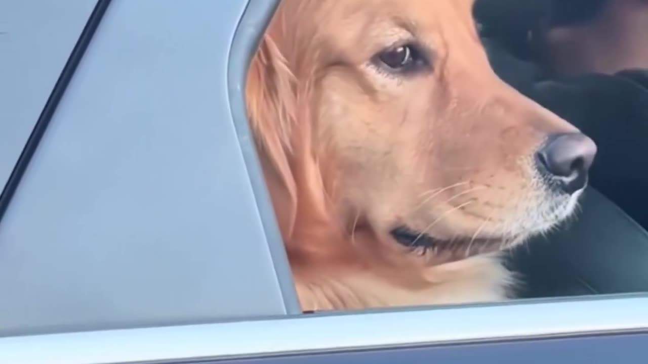 Politely declining your advances 🤣