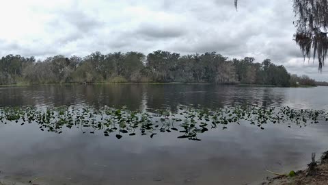 Riverview Time-Lapse: St. John’s Tranquil Tides (Jan 14, 2026)