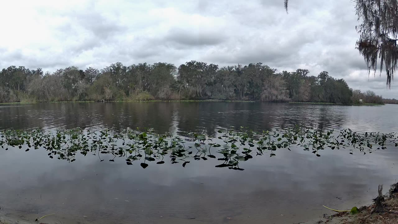 Riverview Time-Lapse: St. John’s Tranquil Tides (Jan 14, 2026)