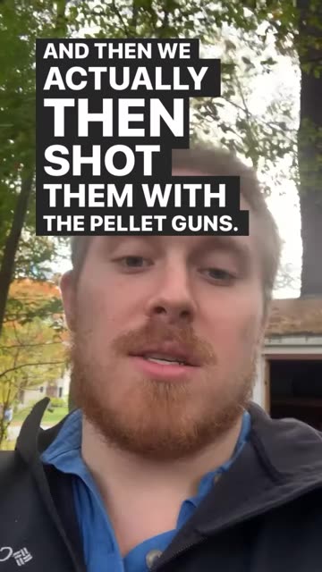 Harvesting Chickens For Winter, Connect To Your Food People!