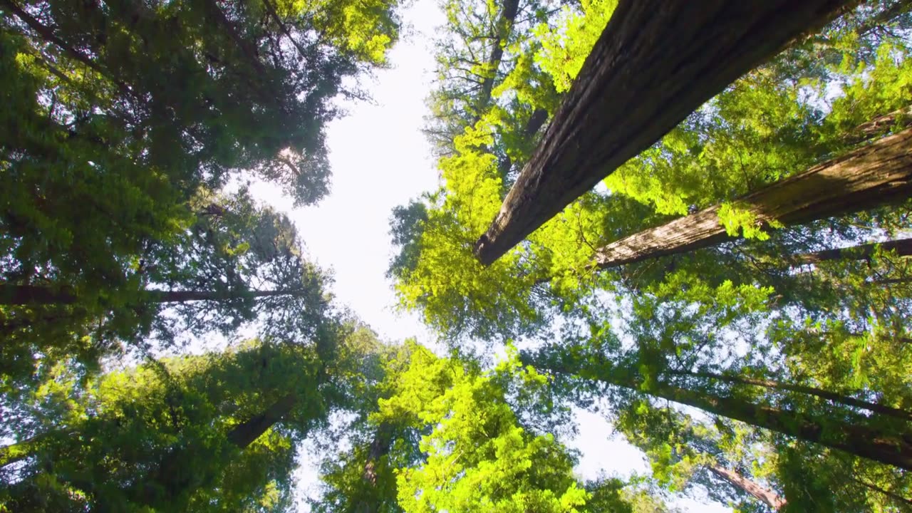 "Be the energy you want to attract."