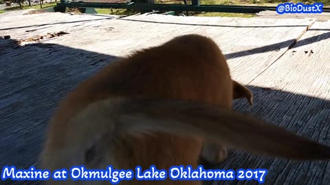 Vintage Footage of Maxine at Okmulgee Lake in Oklahoma, Muscogee Nation