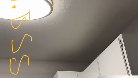 FLAWLESS SHANTEL COOKING FOR HER GUY SIR BB & HER AND PRINCESS GOT INTO IT...