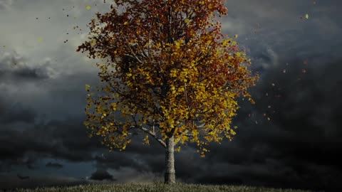 DRUDKH - November (Official Visualizer)