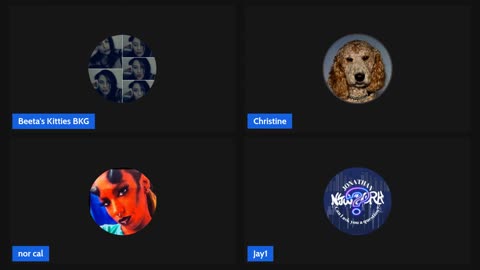 11/07/25 Beeta's Kitties VOD: "F my life"