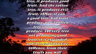 Matthew 16:12 - Daily Bible Verse Commentary