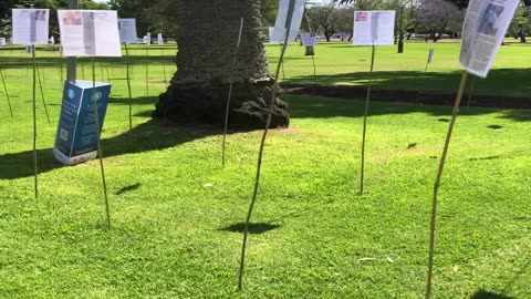 DUDDO (Ausztrália) - akik nem élték túl az injekciót