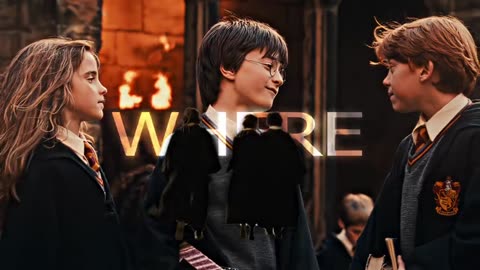 No one can replace the Golden Trio! #harrypotter #edit #adox #foryou #foryoupag