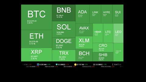 Live Coin Price Watch!