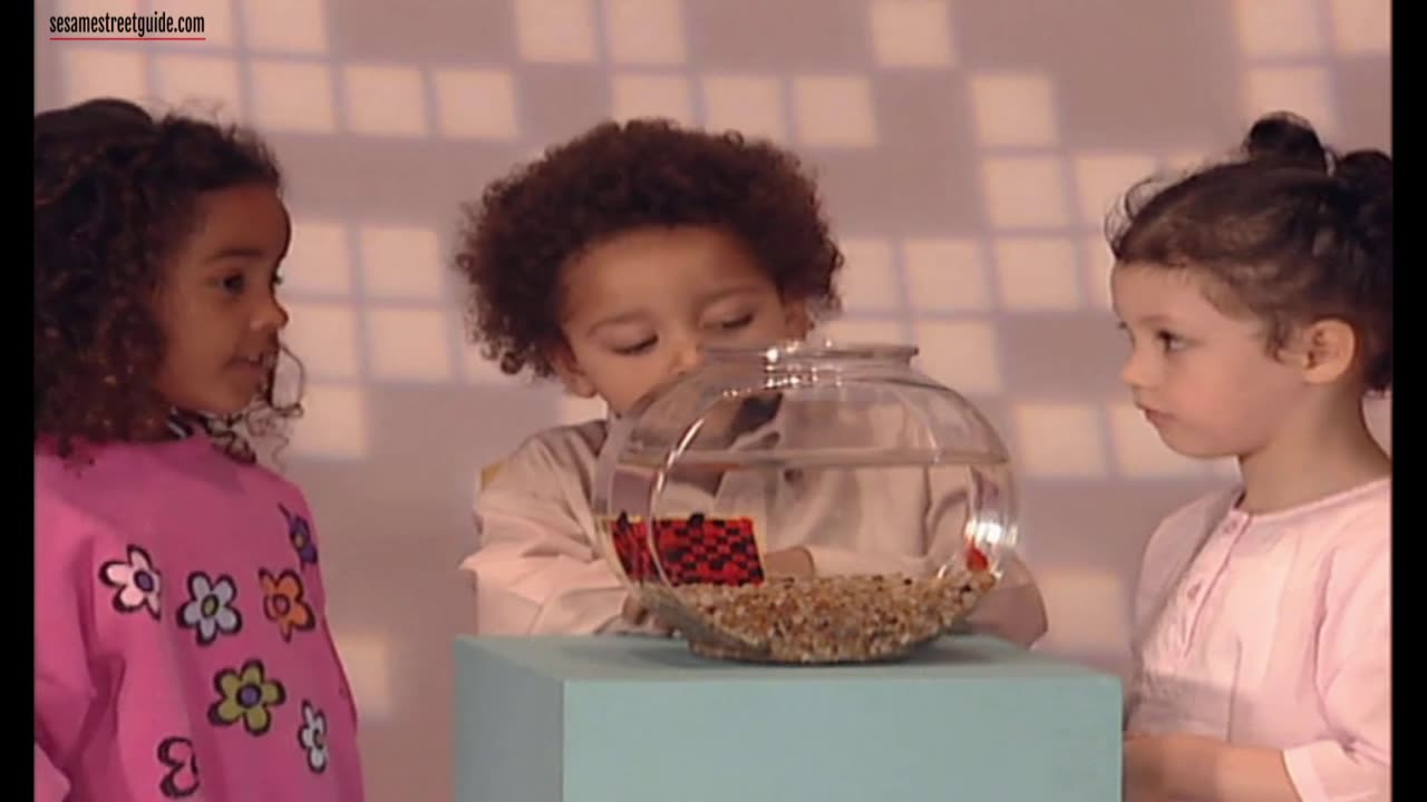 Elmo's World Favorite Things