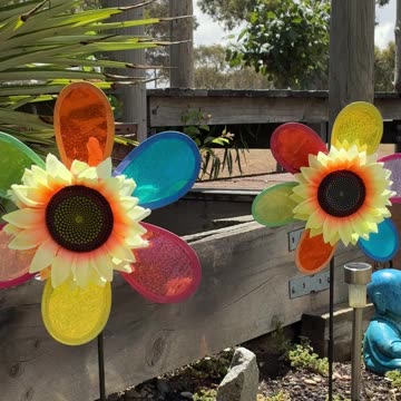 Enjoy Life - Wind Sun and Nature