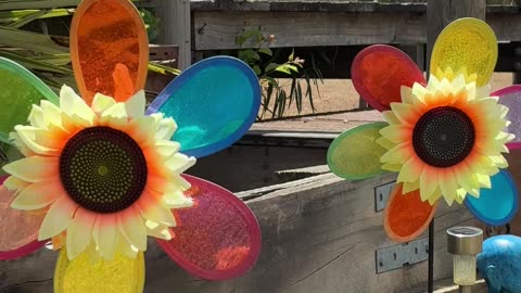 Enjoy Life - Wind Sun and Nature