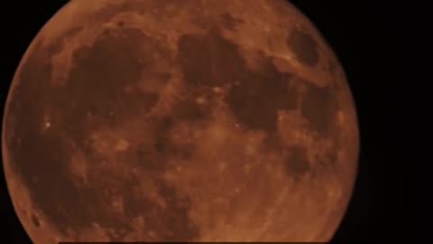 Daily Horoscope | Scorpio 🌟