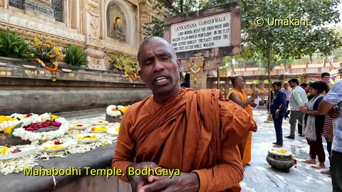Mahabodhi Temple and Bodhi Tree History- Explained By Learned Boudh Bhikhyu