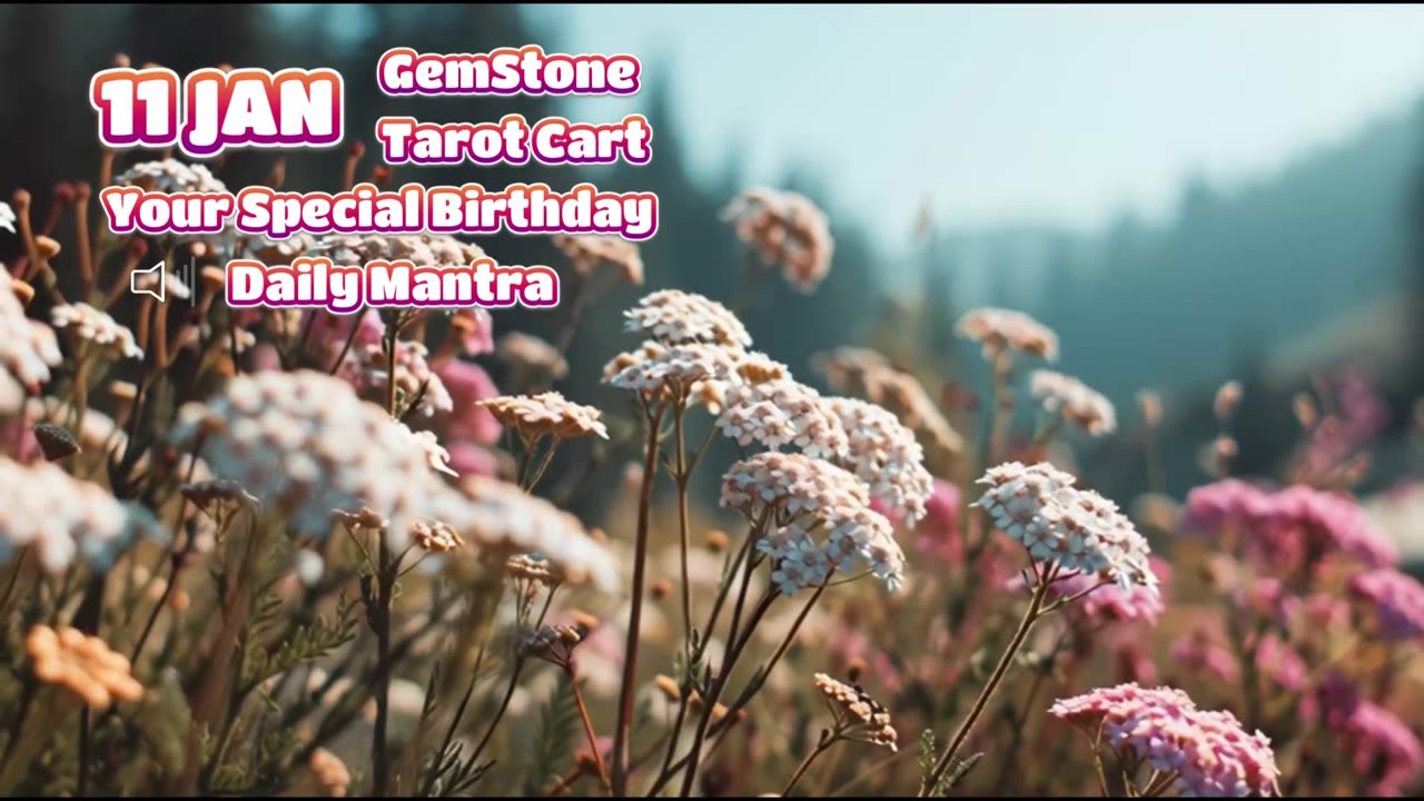 11 January Happy Birthday