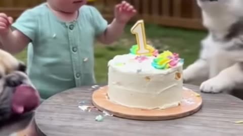 Understand Your Dog: The Key to Calm & Successful Training 🐕