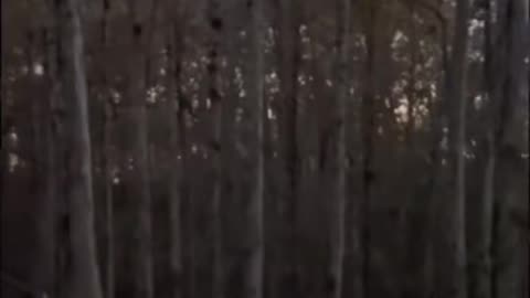 😱🔮 Poltergeist Activity Caught on Camera! | TheHauntingHour