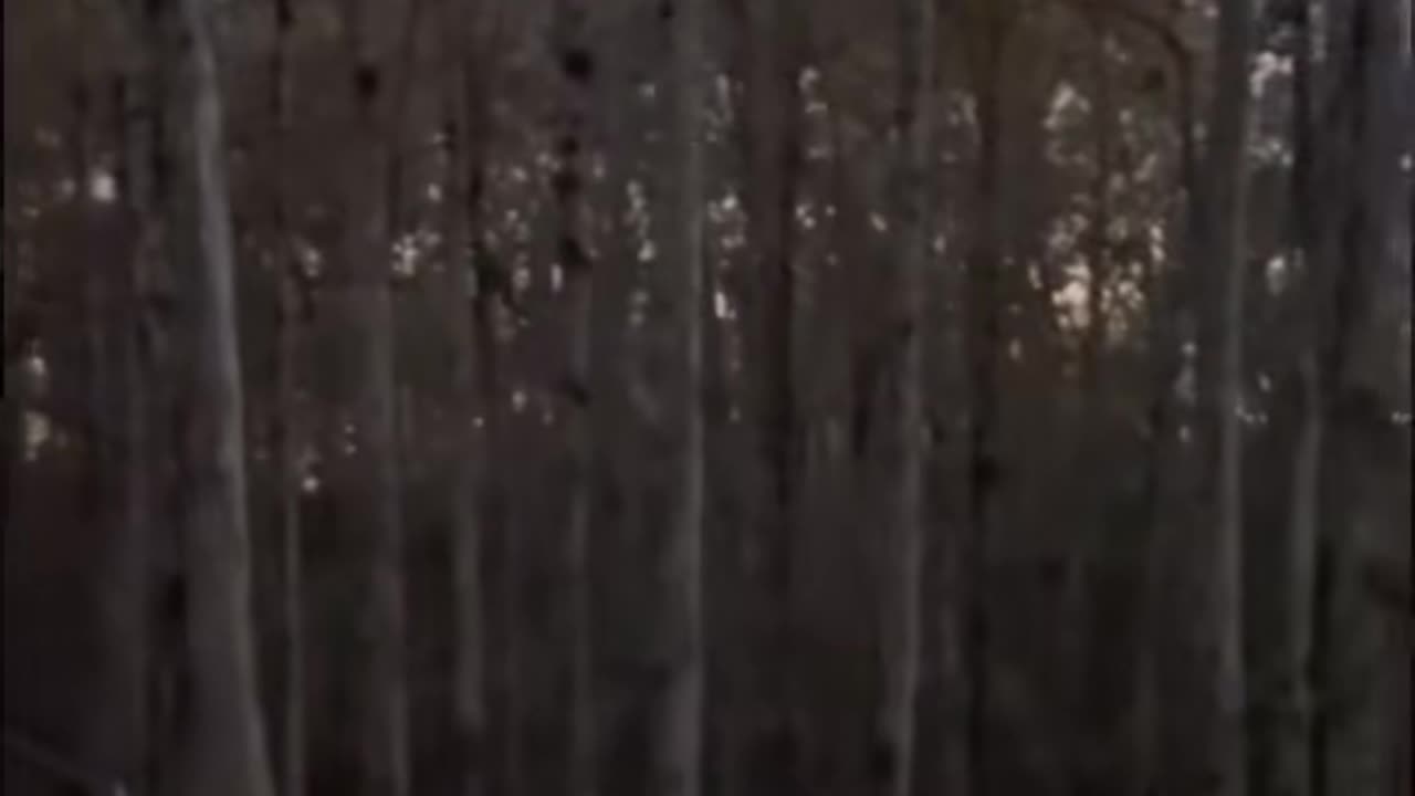 😱🔮 Poltergeist Activity Caught on Camera! | TheHauntingHour