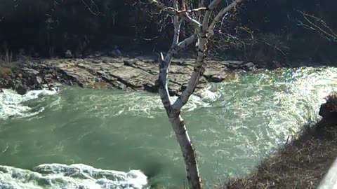 A CLOSER LOOK AT THE NIAGARA FALLS IN THE PARK