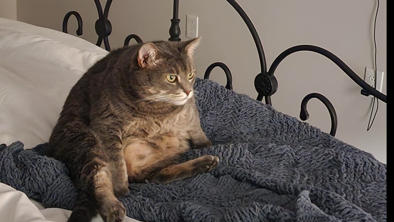 TEST STREAM