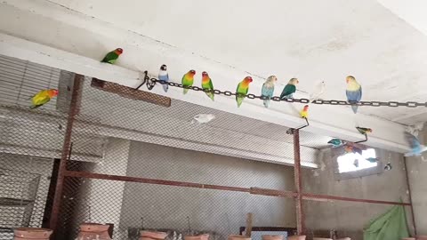 Breeding formula techniques