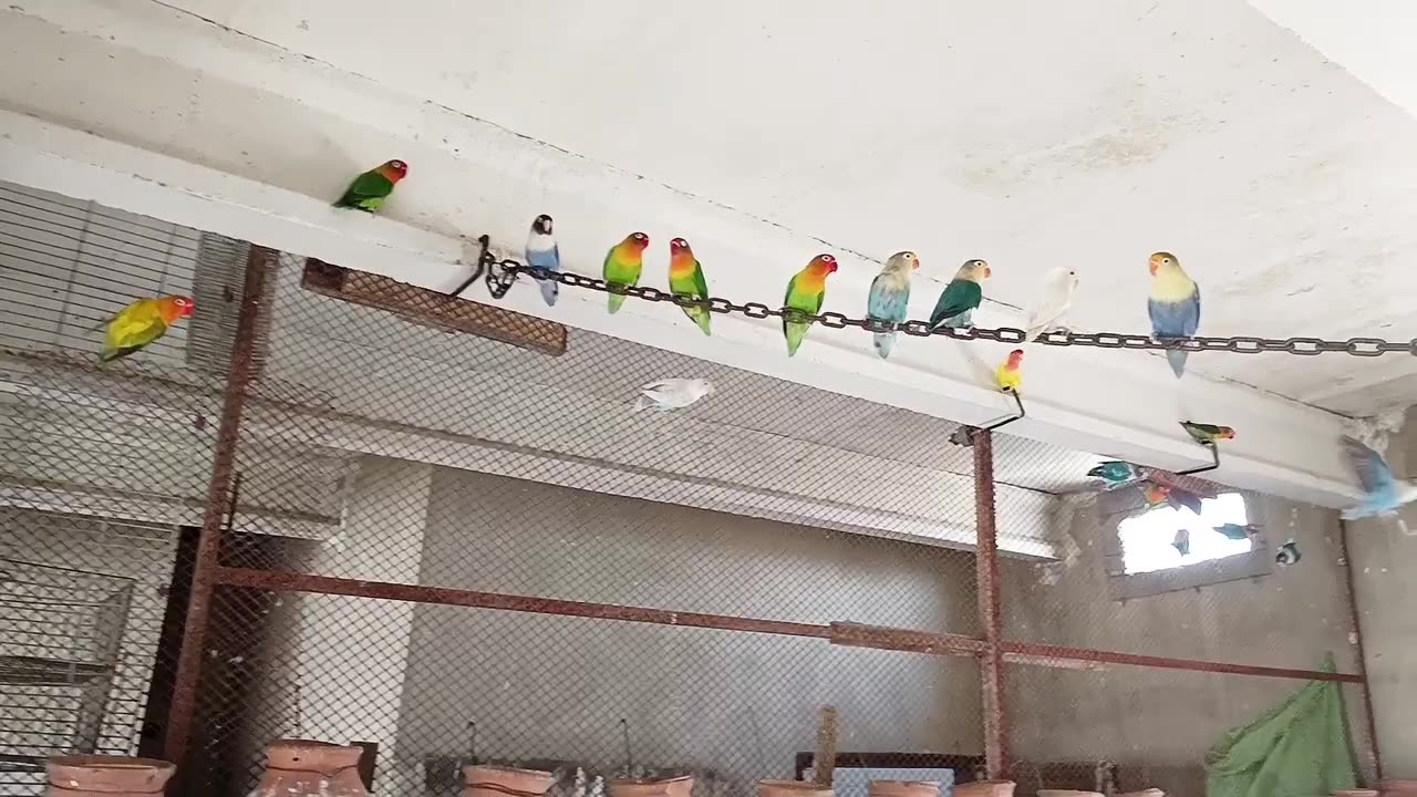 Breeding formula techniques