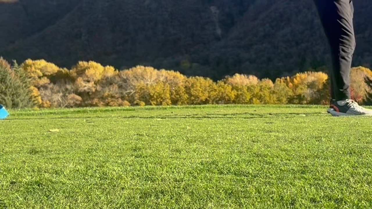 Day 142 road to pga tour