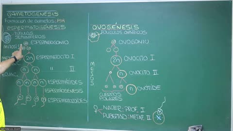 VONEX REPASO 2025 - 1 | Semana 04 | Biología S2