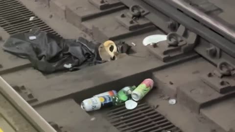 NYC Rats Caught Wrestling Over Bagel on Subway Tracks