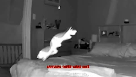 😱👻 GHOST in the Bed? Shocking Paranormal Activity in NY | TheHauntingHour