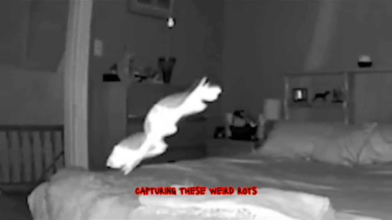 😱👻 GHOST in the Bed? Shocking Paranormal Activity in NY | TheHauntingHour