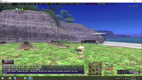 Playing Final Fantasy XI Online