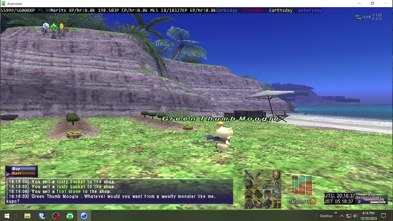 Playing Final Fantasy XI Online