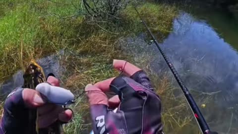Man vs. Fish: The Fish Fights Back! He almost went for a swim! 🤣