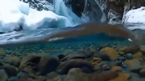 Jazakallah ♥️✨🕊️