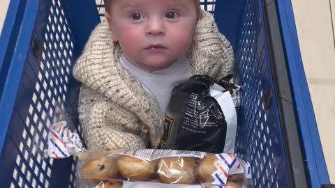 Baby In A Shopping Basket