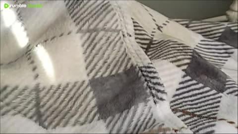 really love this time