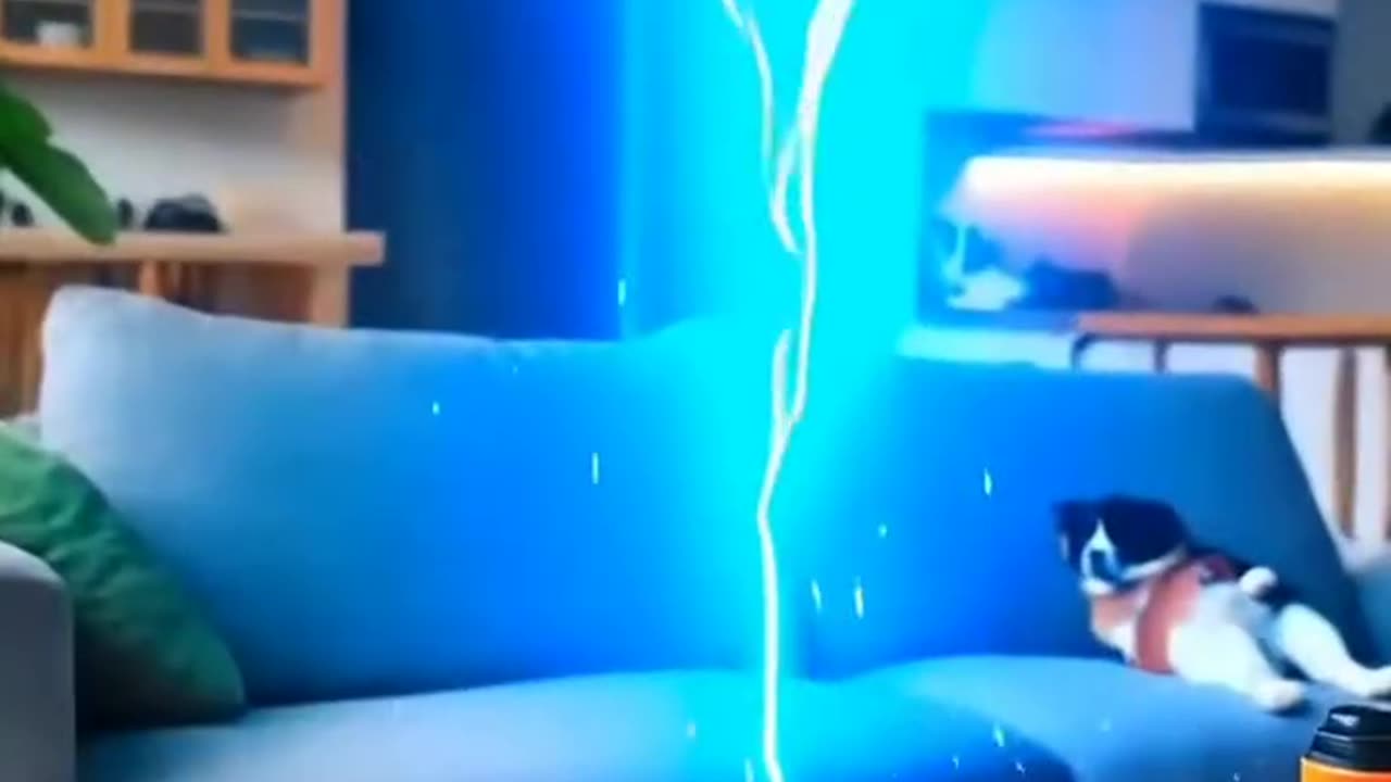 , robot p