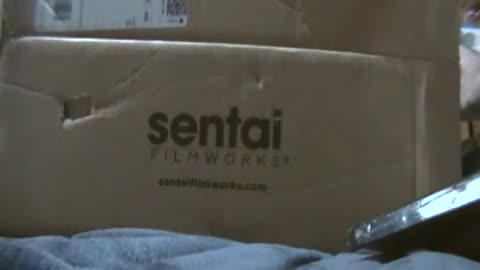 Pop Culture Unboxing Episode 205_ Sentai Films October Blow Out Sale Haul