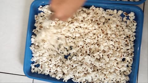 HASIL 300 GRAM JAGUNG