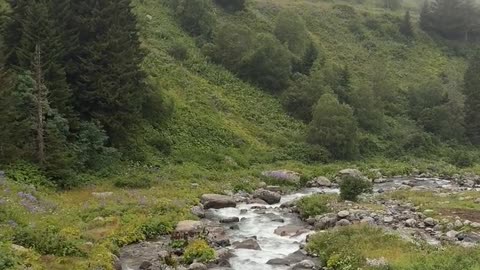 Daily Horoscope | Capricorn 🌟