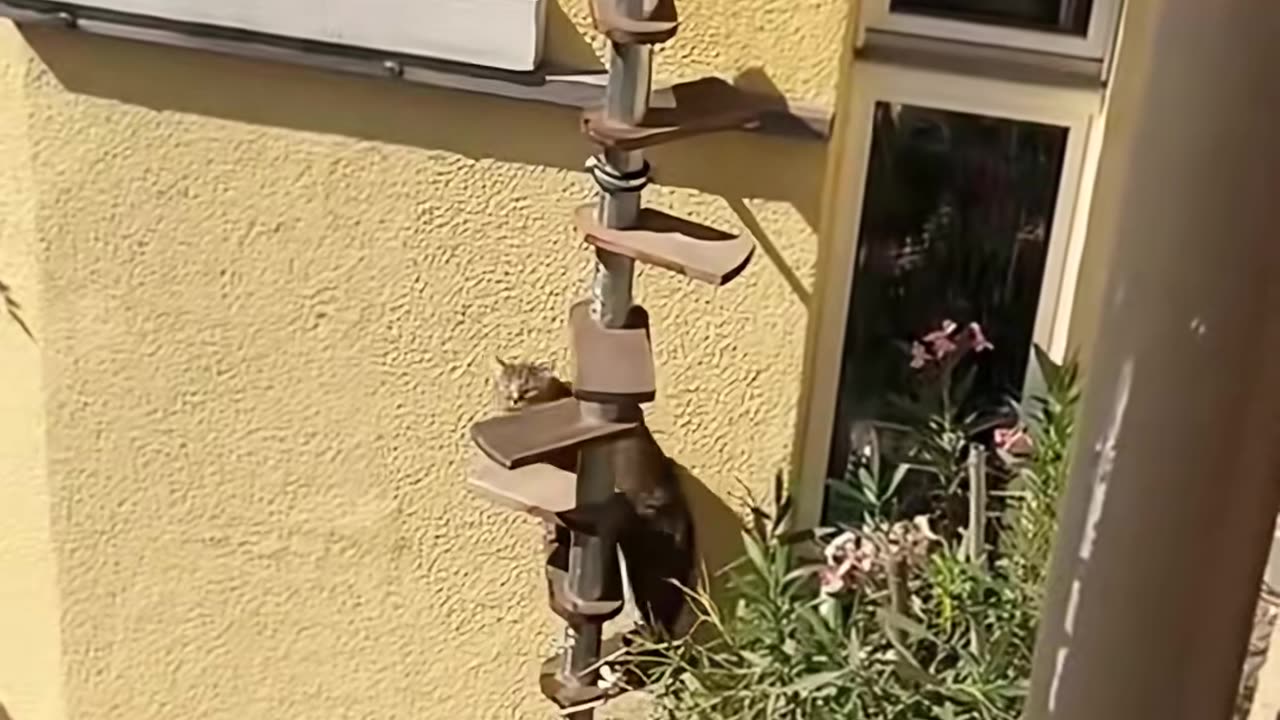 💡👀 The Ultimate Life Hack You Need to Know! | LifeHacksDaily