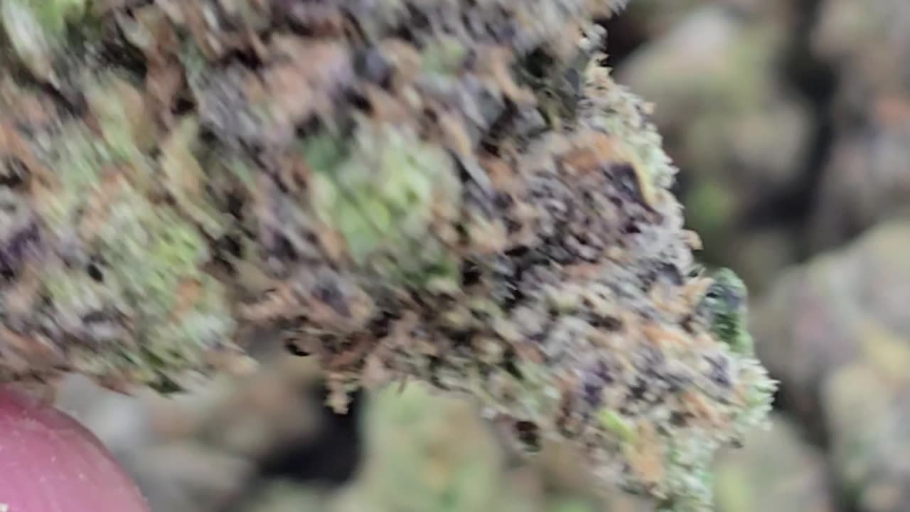 Jane Doe - Top Tier
