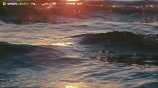 sleep peacefully with our live