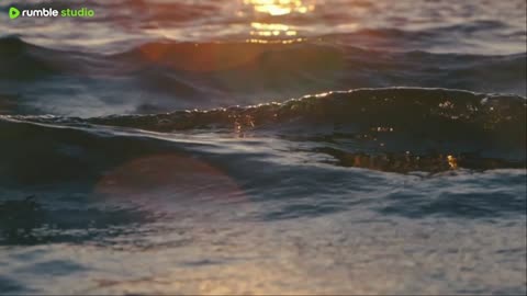 sleep peacefully with our live