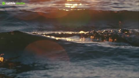 sleep peacefully with our live