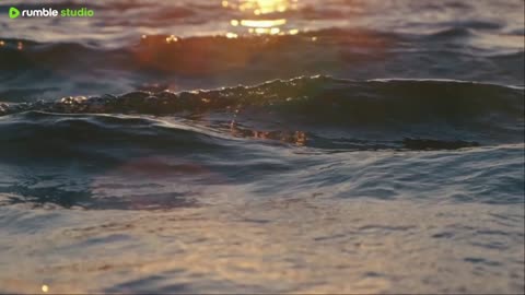 sleep peacefully with our live