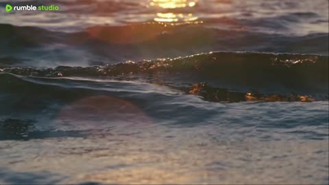 sleep peacefully with our live