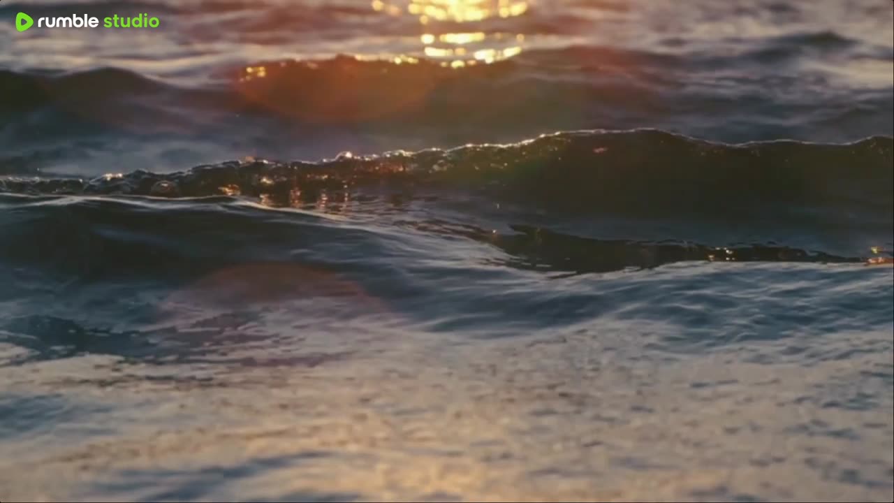 sleep peacefully with our live