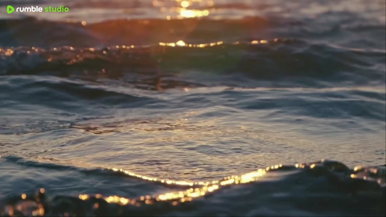 sleep peacefully with our live